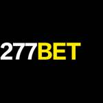 277 bet Profile Picture