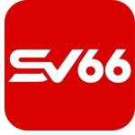 SV66 Nhà Cái Profile Picture
