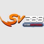 SV388 Profile Picture
