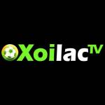 mollysmovementcom die web Profile Picture