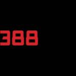 388 bet Profile Picture