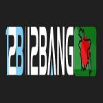 12bang BD Profile Picture