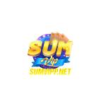 sumvipp net Profile Picture