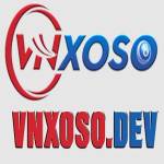 Vnsoxo Profile Picture