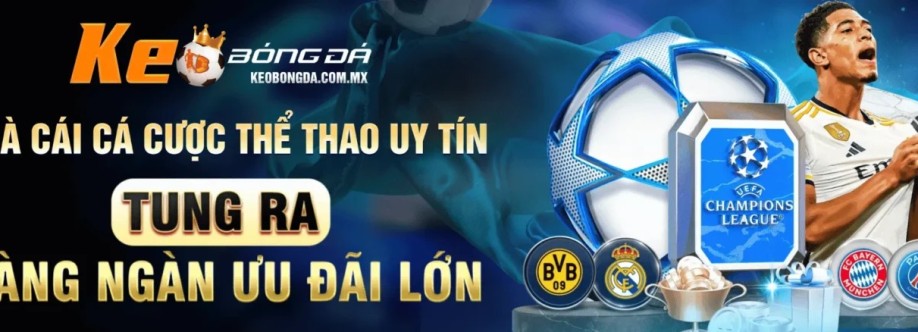 Tran Dong Hai Chuyen Gia Soi Keo Cover Image