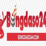 Bongdaso24h Com Profile Picture