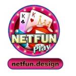 netfun Profile Picture