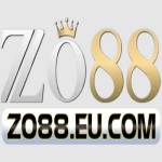 zo88 Profile Picture
