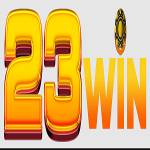 23winn.work Profile Picture