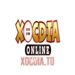 Sân Chơi Cá Cược Đỉnh Cao Xóc Đĩa Online Profile Picture