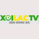 anactoflovefilm lừađảo Profile Picture
