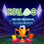 Trực Tiếp Bóng Đá Xoilac TV Profile Picture