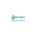 shbetprofitmaximizer Profile Picture