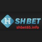 Shbet65 info Profile Picture
