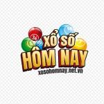 Xổ Số Hôm Nay Profile Picture