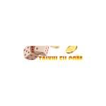Dẫn Cách Chơi Tài Xỉu Hướng Profile Picture