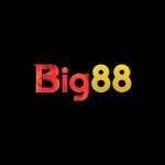 big88company Profile Picture