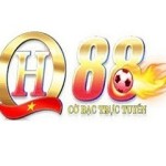 com qh88beting Profile Picture