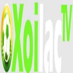 xoilactvnvncctha cc Profile Picture