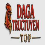 dagatructuyen top Profile Picture