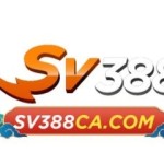 sv388cacom Profile Picture