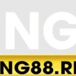 King88 King Profile Picture