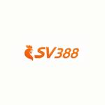 SV388 Profile Picture