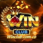 Winclub Cổng game Profile Picture