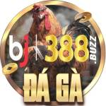 Bj388 buzz Profile Picture