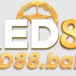 RE D88 Profile Picture