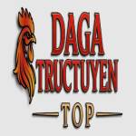 dagatructuyen top Profile Picture