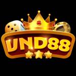 VND88 Profile Picture