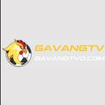 Gavang Tv Profile Picture