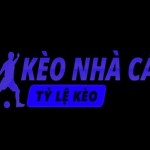 tylekeoceo Tỷ lệ kèo Profile Picture