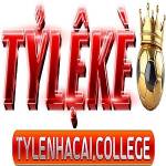 tylenhacai college Profile Picture