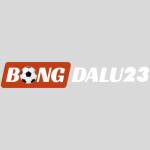 Bongda lu Profile Picture