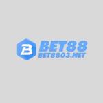 Bet 88 Profile Picture
