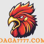 daga 7777com 7777 Profile Picture