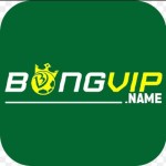BONGVIP Profile Picture