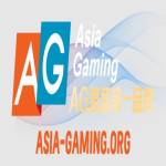 ag平台 Profile Picture