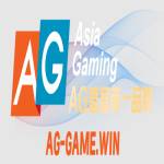ag游戏 Profile Picture