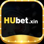 hubet xin Profile Picture