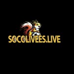 SOCO LIVE Profile Picture