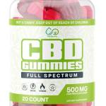 TerraProCBDGummies25 Profile Picture