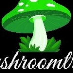 mushroom tropics tropics Profile Picture