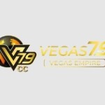 V7bet Profile Picture