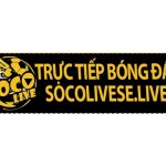 SOCO LIVE Profile Picture