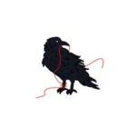Blackbird Knitting Needlework Profile Picture