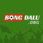 Bongdalu ORG Profile Picture