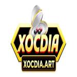 XOCDIA Profile Picture